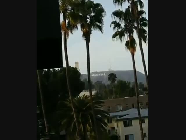 А как там в Голливуде?