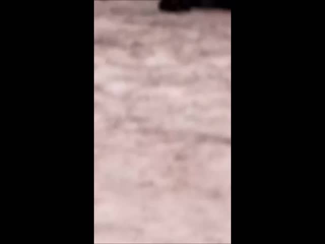 Вам-то, какое дело, а?