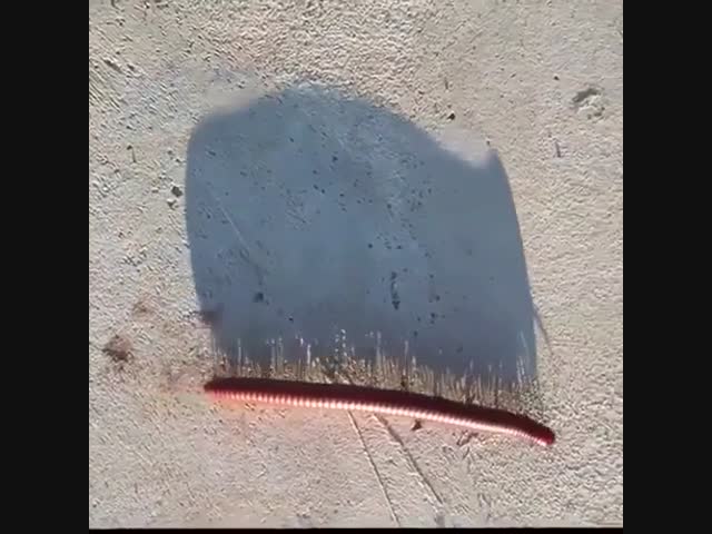 Ракурс решает всё