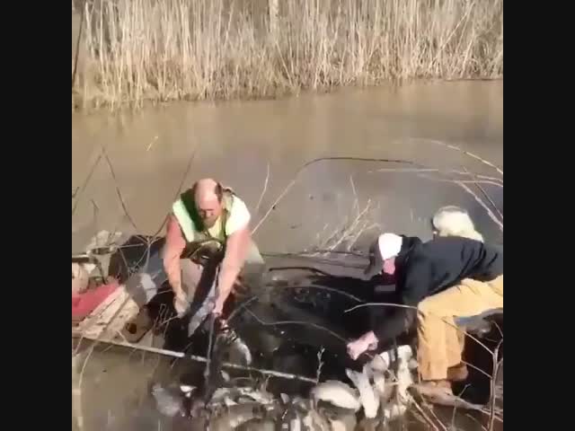 Ох уж эта жадность...