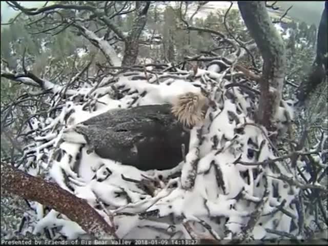 Настоящая материнская любовь