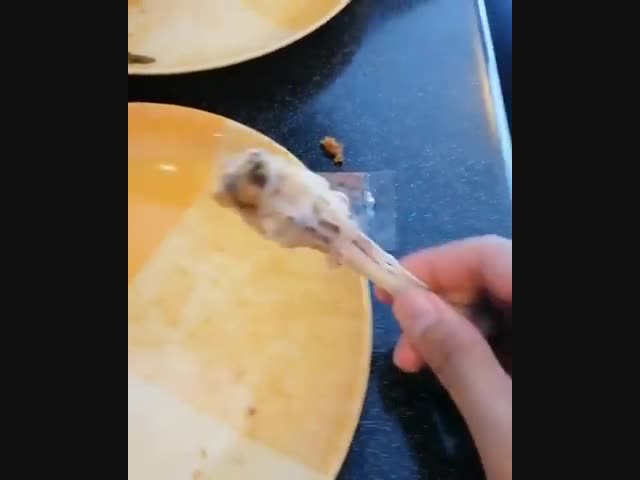 Мухтар, ко мне!