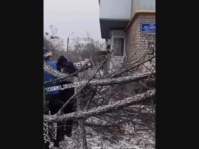 В Харькове дерево упало на прохожего