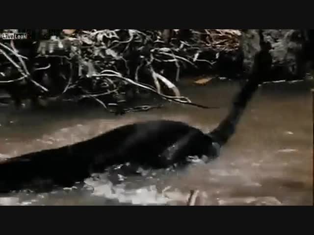 Заморить червячка