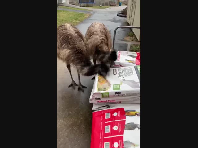 Кушаем так, чтобы не нарушить пост