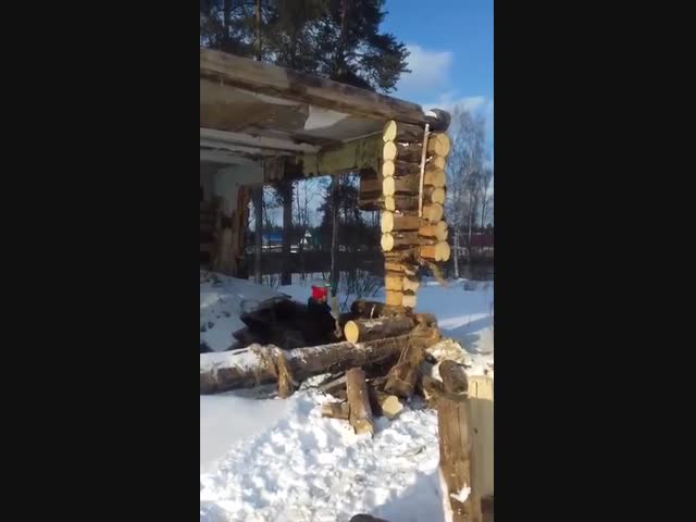 Ещё одна премия Дарвина 