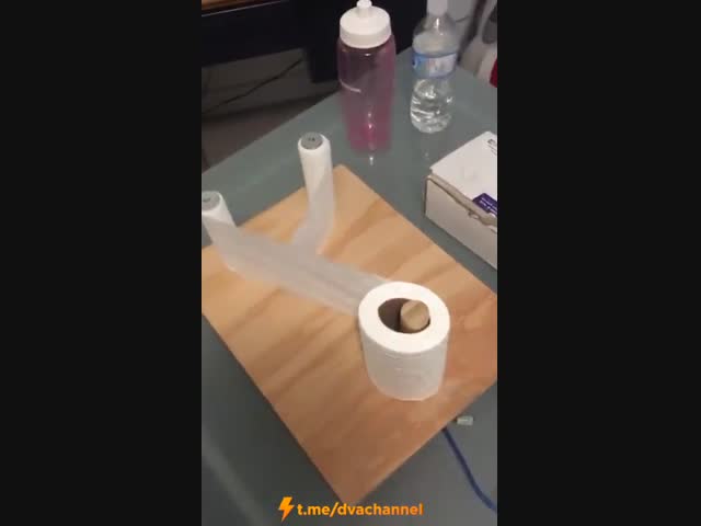 Учимся экономить туалетную бумагу