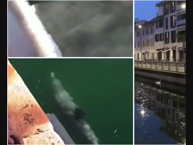 Природа восстанавливается