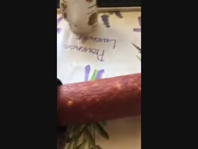 Живая колбаса