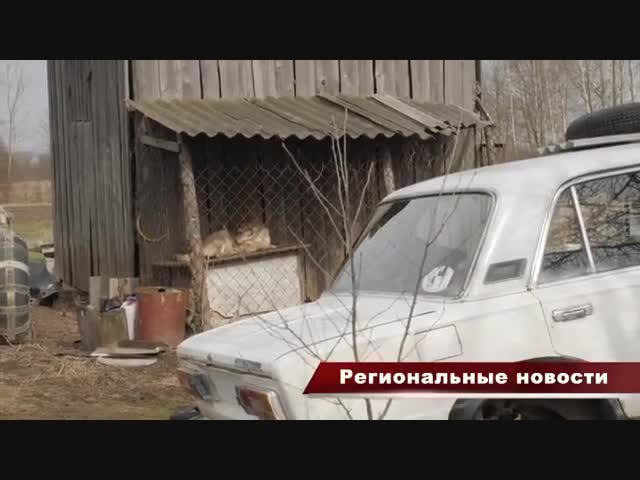 Белорусские пенсионеры остались без европейского отдыха, но с устрицами
