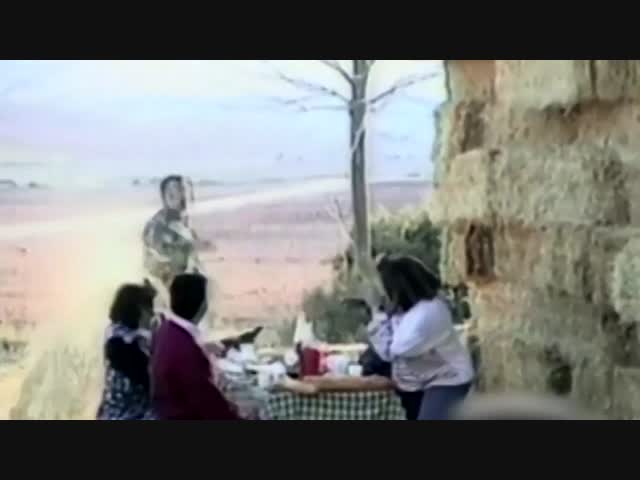 Тюк сена и пикник