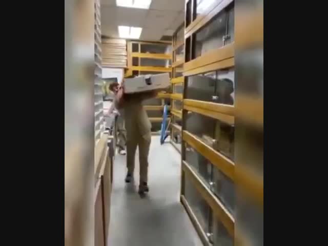 Неожиданный финал. Будьте готовы