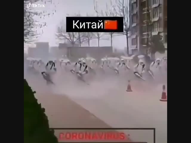 Борьба с коронавирусом в разных странах