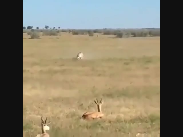 Смерть подкралась незаметно