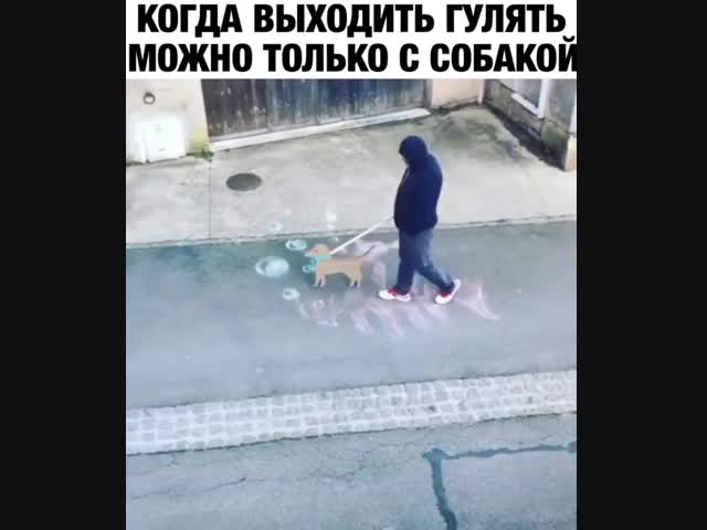 Когда выходить гулять можно только с собакой....