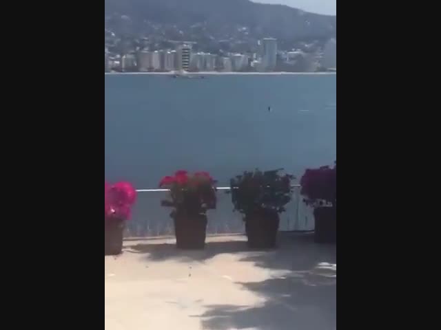 Животные отдыхают от людей