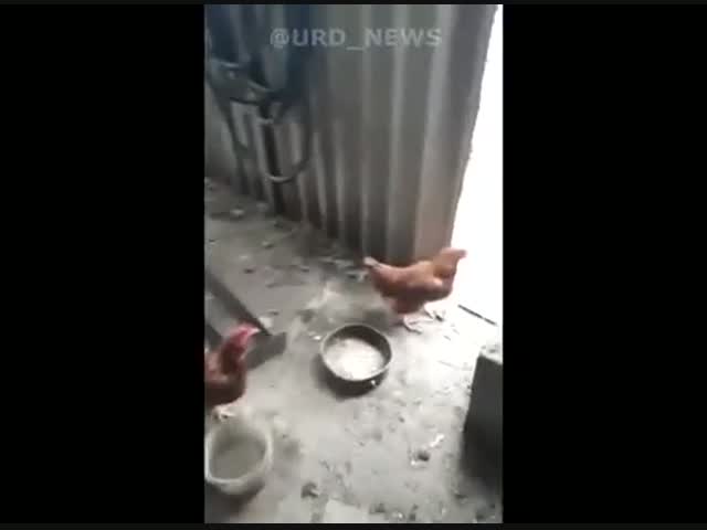 Карантин должны соблюдать все!