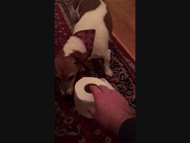 Не трожь, моё!