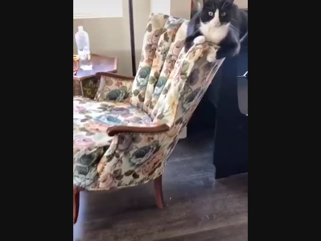 Мастер баланса