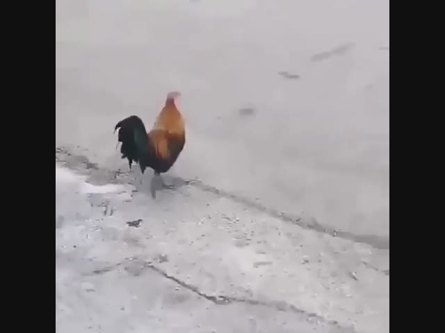 Дорога в один конец