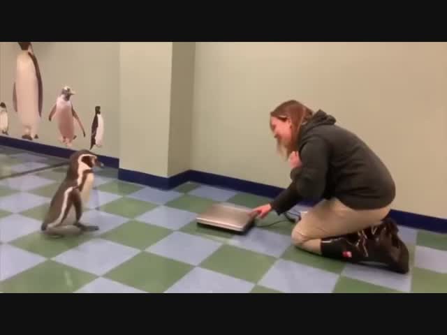 Взвешивание