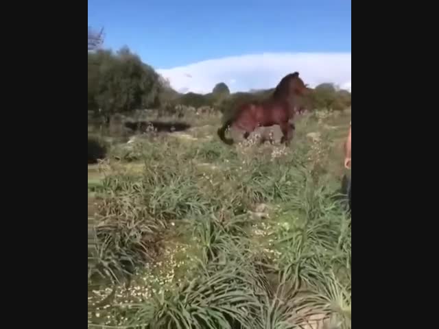 Нервный срыв