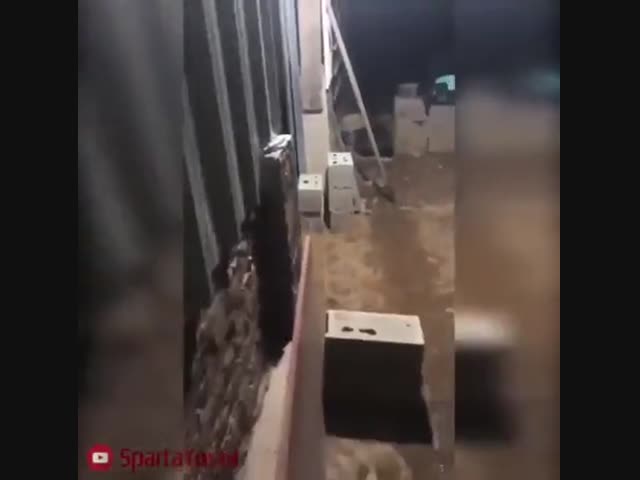 Когда долго не выпускали на прогулку