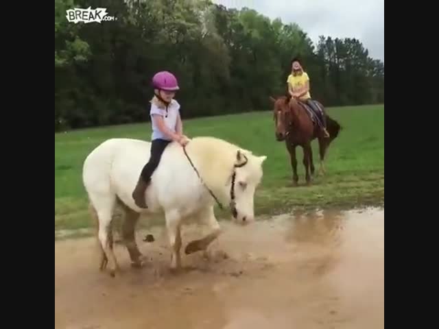 Пони захотелось искупаться в грязи