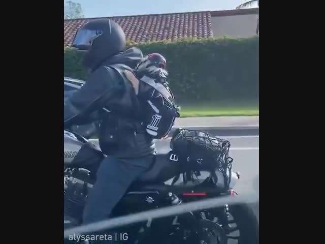 Необычный пассажир