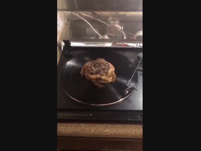 Ничего особенного - просто жаба на грампластинке