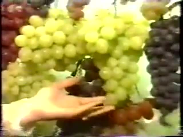 Случай на бразильском телевидении