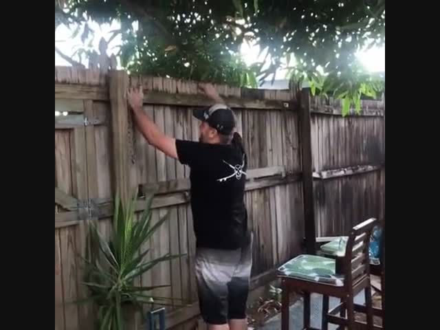 Эх, хорошие были времена...