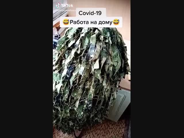 Новости карантина