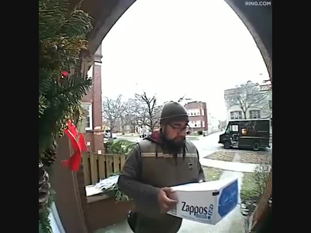 Наглая белка и испуганный курьер