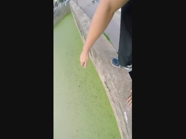 Неудачный паркур