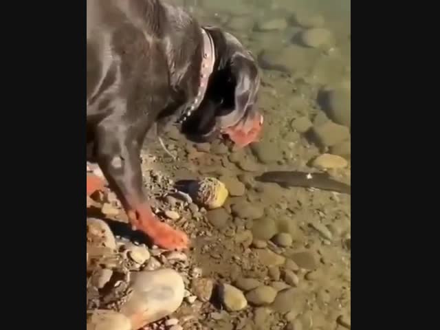 Простой рыбак