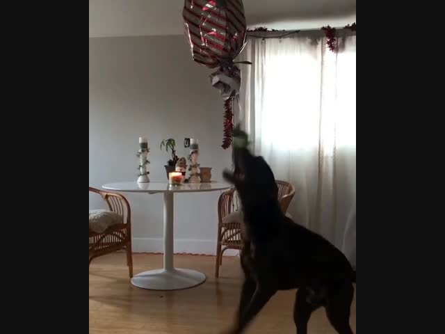 Подарок на день рождения