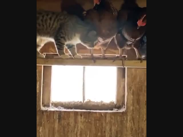 Кажется кто то заблудился