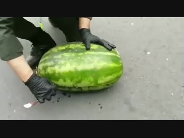 Арбузы с сюрпризом