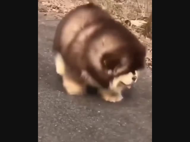 Мы... Когда снимут режим самоизоляции