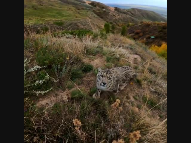 Разрешение на съёмку есть?