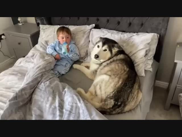 Нет, я не уйду!