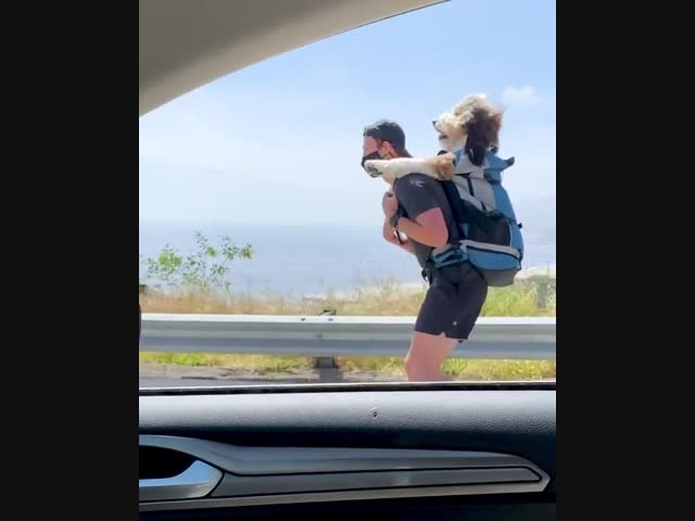 Вдвоём веселее