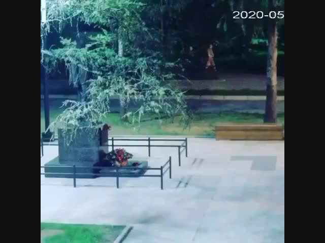 В Красноярске две девушки украли цветы от памятника