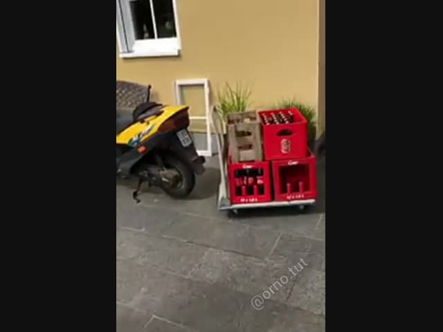 Холодильник с сюрпризом