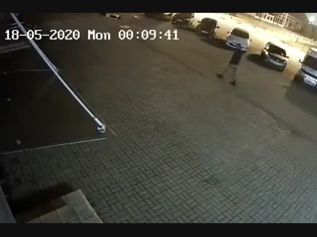 Медведю повезло, что прохожий его не покалечил