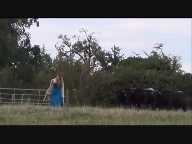 Эти милые слушатели очарованы музыкой