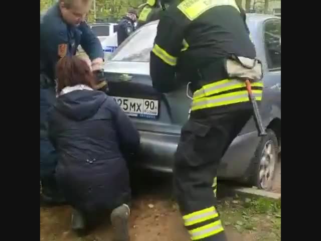 Спасли собаку