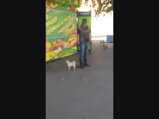 Цербер сатаны