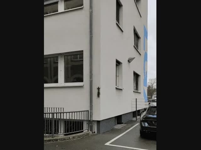 Белка живет на верхних этажах